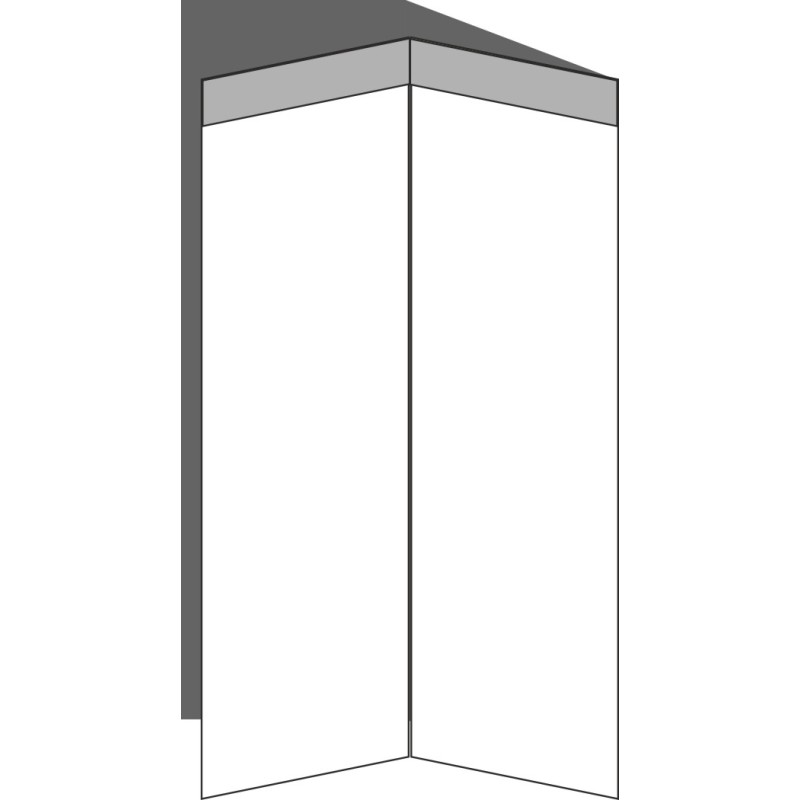 Tür Eckschrank 26x80 rechts, für Eckschränke (2ST), ALU SILVER (2 Stück)